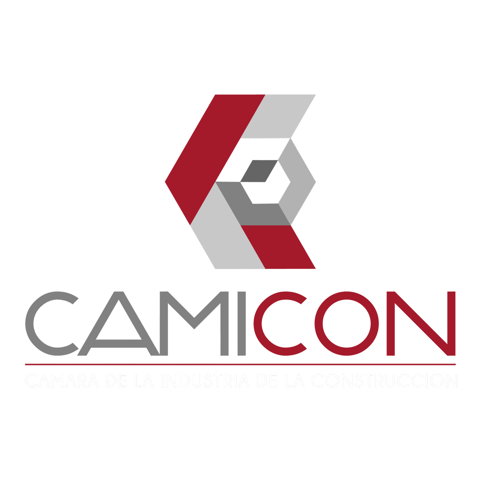 CAMICON